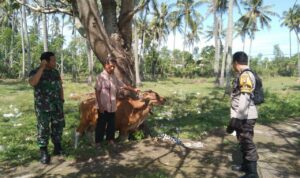 Bhabinkamtibmas Batulayar Giatkan Pertanian Pekarangan Warga