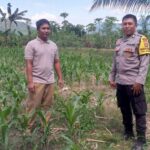 Ketahanan Pangan Jadi Misi Polsek Kuripan Bangun Silaturahmi