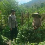 Bhabinkamtibmas Babussalam Gencarkan Ketahanan Pangan di Lombok Barat