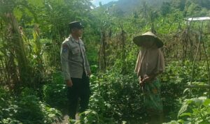 Bhabinkamtibmas Babussalam Gencarkan Ketahanan Pangan di Lombok Barat