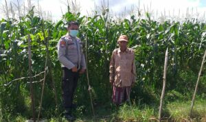 Bhabinkamtibmas Sosialisasi Pemanfaatan Lahan Kosong untuk Pangan