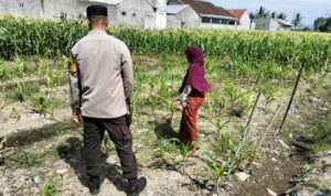Bhabinkamtibmas Labuapi Dorong Pemanfaatan Lahan Demi Ketahanan Pangan