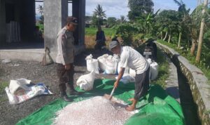 Bhabinkamtibmas Montong Are Dorong Swasembada Pangan