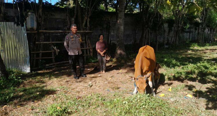 Bhabinkamtibmas Aktif Edukasi Pertanian di Desa Senggigi