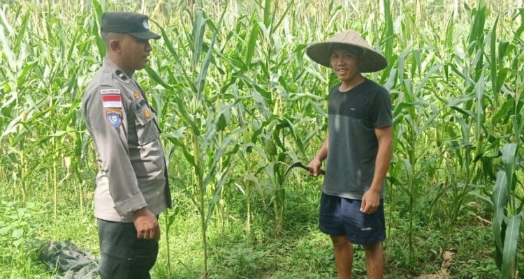 Bhabinkamtibmas Taman Baru Giat Dorong Pemanfaatan Lahan Kosong