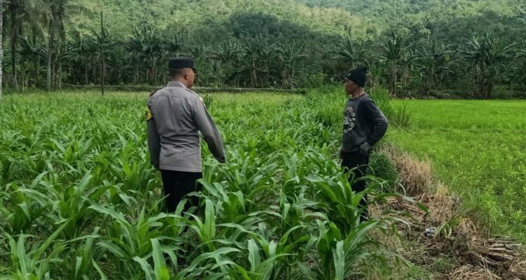 Kunjungan DDS: Ketahanan Pangan dan Kamtibmas Jadi Fokus Polisi Sekotong