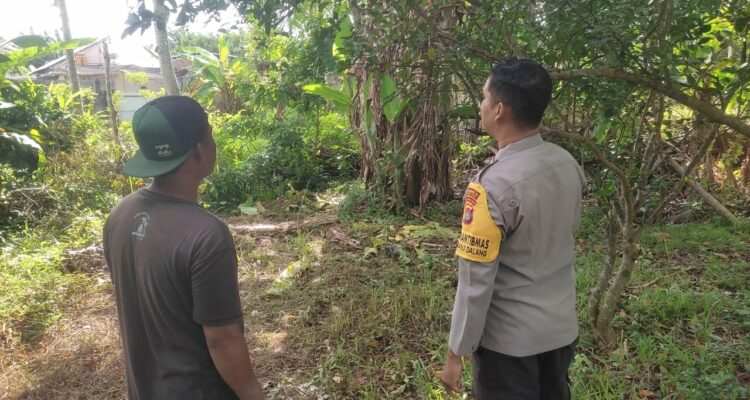 Memperkuat Ketahanan Pangan, Bhabinkamtibmas Kuranji Dalang Gencarkan Kunjungan ke Warga