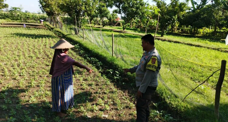 Polri di Lombok Barat Galakkan Ketahanan Pangan Skala Rumah Tangga