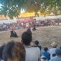 Warisan Sasak di Panggung Dunia, Festival Peresean Ramaikan Lombok Barat