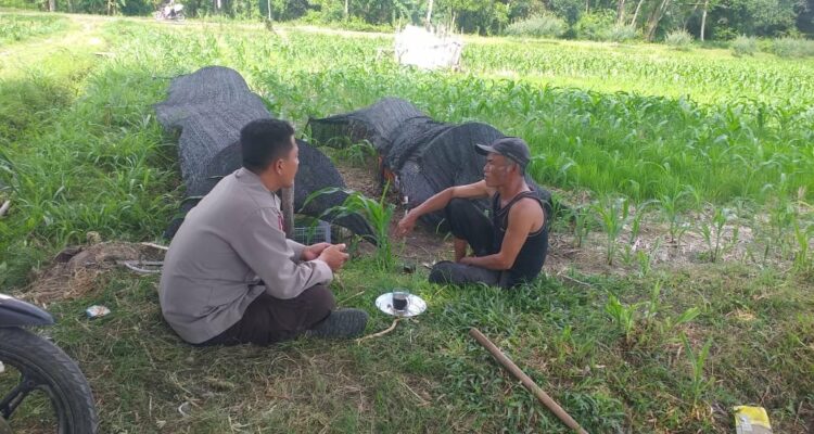 Polres Lombok Barat Dukung Petani Wujudkan Ketahanan Pangan di Lembar