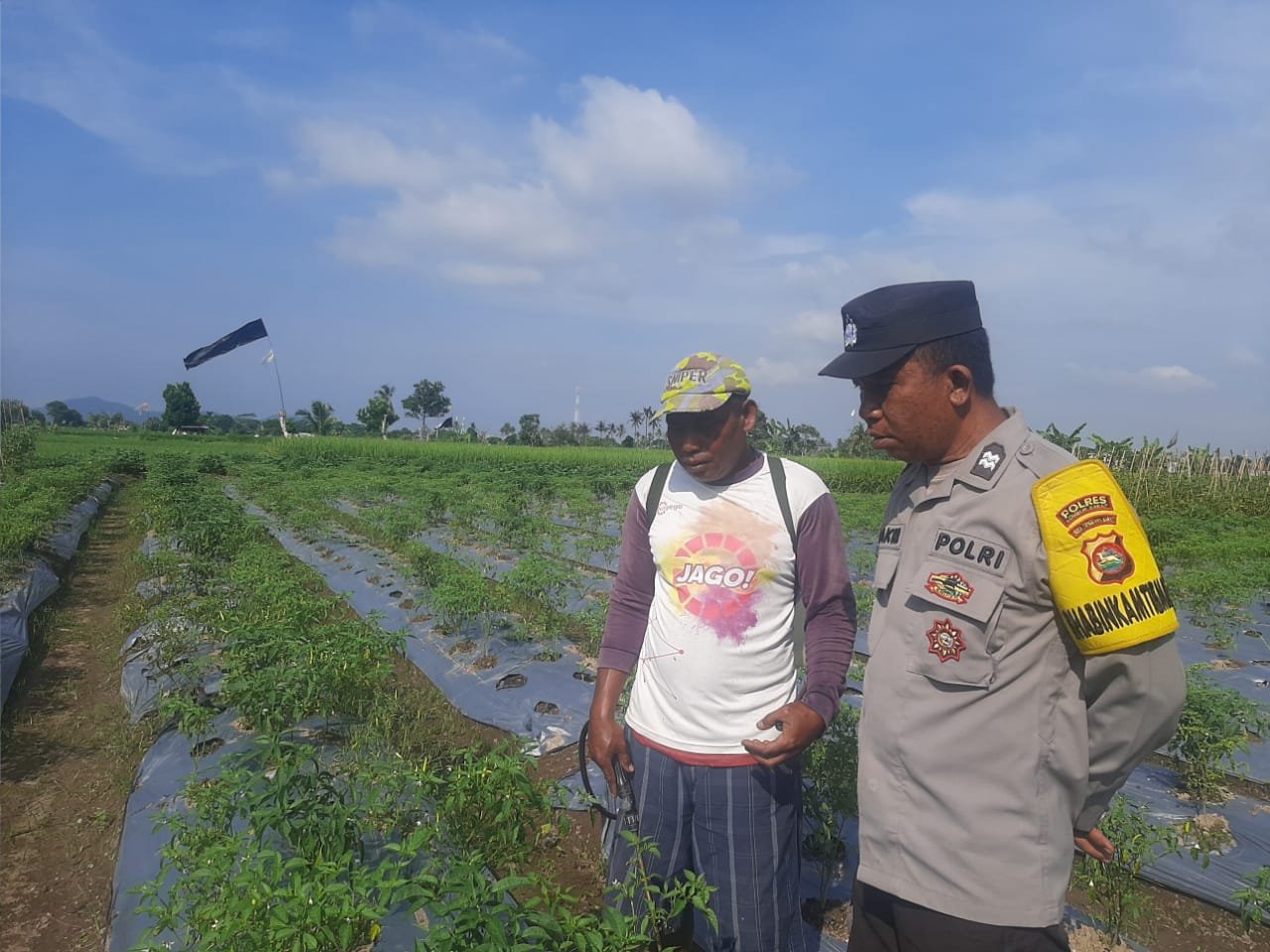 Bhabinkamtibmas Montong Are Dorong Swasembada Pangan di Kediri Lombok Barat