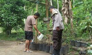 Polsek Batulayar Dorong Kemandirian Pangan Lewat Program Pekarangan di Dusun Orong