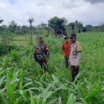 Sinergi Polisi dan Petani di Dusun Nyiur Gasing Dukung Ketahanan Pangan