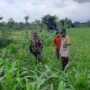 Sinergi Polisi dan Petani di Dusun Nyiur Gasing Dukung Ketahanan Pangan