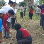 Sinergi Polsek Batulayar dan Warga Sandik Tanam Jagung Dukung Ketahanan Pangan