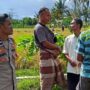 Peran Polisi di Tengah Sawah: Ketahanan Pangan Dimulai dari Dusun Rumak Barat