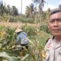 Bhabinkamtibmas Desa Batu Putih Dorong Pemanfaatan Lahan Petani di Dusun Tibu Baru
