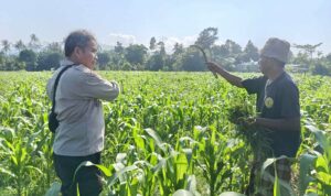 Polsek Batulayar Ajak Masyarakat Perempung Maksimalkan Lahan untuk Ketahanan Pangan