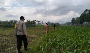 Polsek Kediri Bersama Bhabinkamtibmas dan PPL Pertanian Tingkatkan Ketahanan Pang
