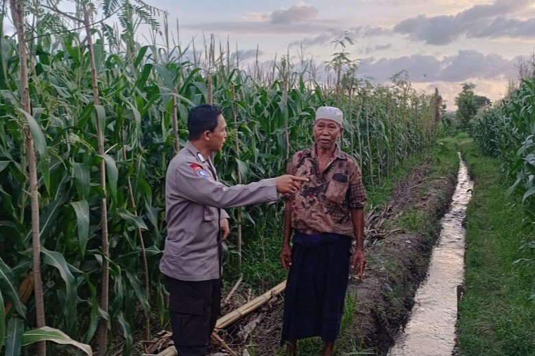 Sinergi Polisi dan Petani di Desa Babussalam untuk Wujudkan Ketahanan Pangan