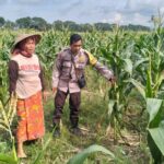 Polsek Labuapi Bangun Kesadaran Pangan Mandiri di Karang Kebon