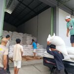 Bulog Mataram Serap 3,4 Ton Jagung Petani Gerung dengan Pengawalan Polisi