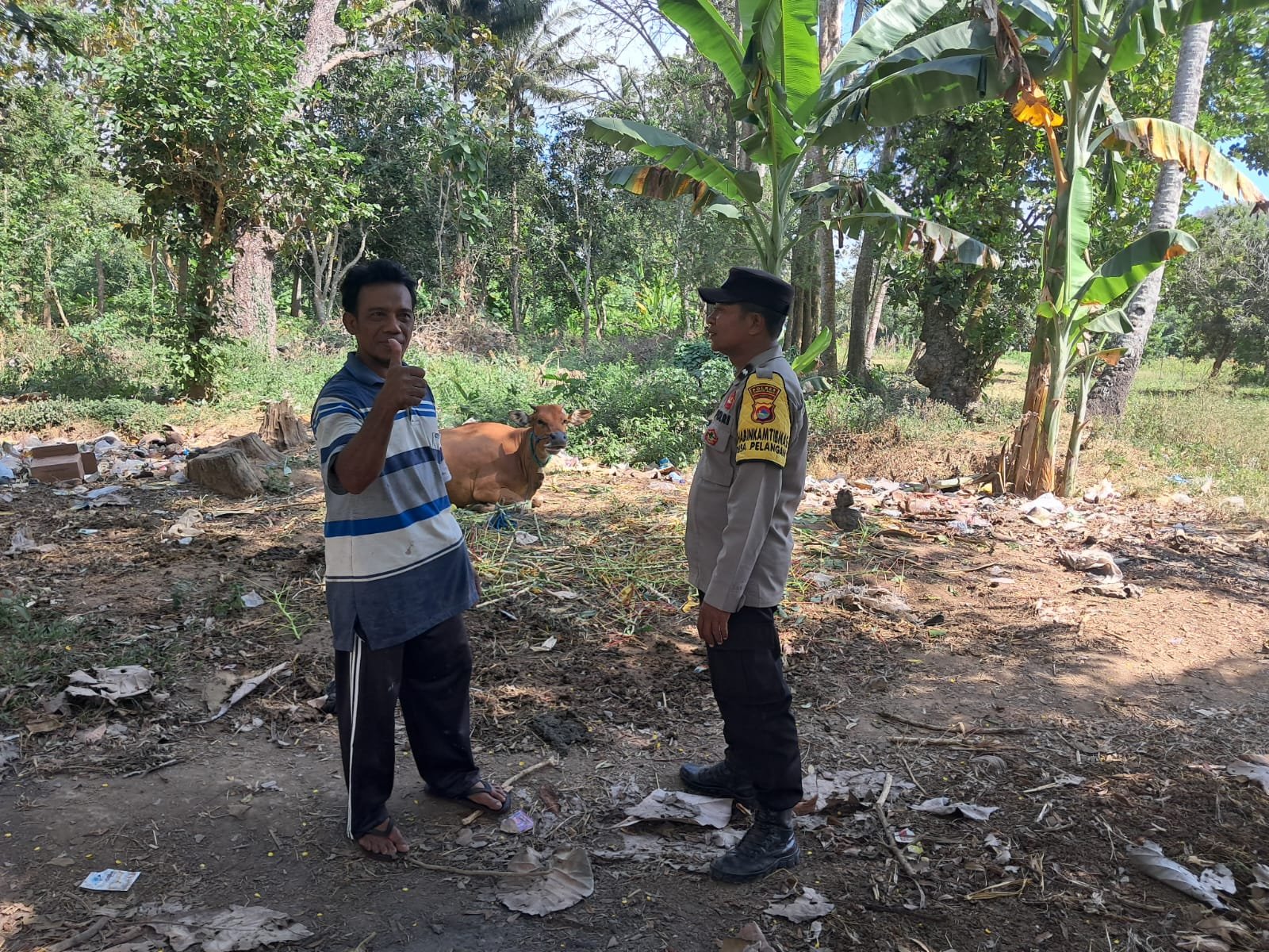 Sinergi Polsek Sekotong dan Warga Pelangan dalam Mewujudkan Kemandirian Pangan