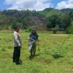 Bhabinkamtibmas Jadi Motor Ketahanan Pangan di Sekotong Barat