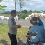 Sinergi Polisi dan Petani di Lombok Barat, Hasilkan Panen Jagung Melimpah