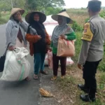 Peran Polisi di Balik Panen Jagung Sukses Petani Lombok Barat