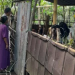 Bhabinkamtibmas Senggigi Ajak Warga Kelola Lahan Kosong Jadi Sumber Pangan