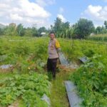 Strategi Polsek Gerung Perkuat Ketahanan Pangan Nasional